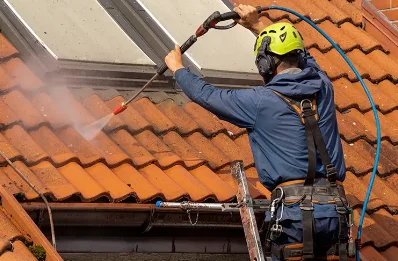Démoussage et hydrofuge de toiture à Pleugriffet